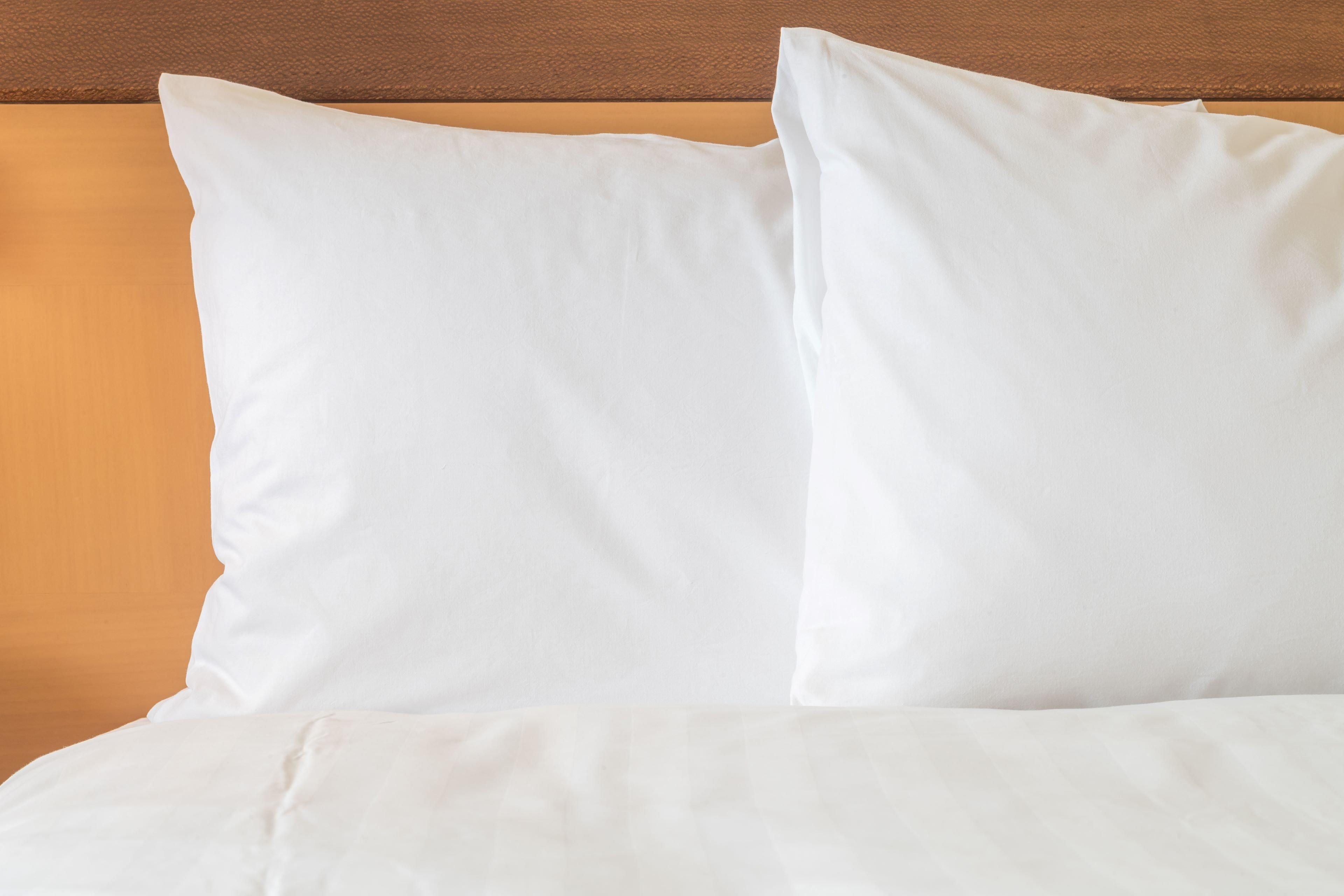 Holiday Inn Express Hotel & Suites Port Richey By Ihg Eksteriør bilde